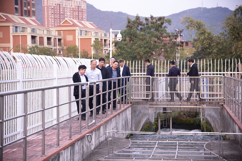 DSC_5782-09140095331.jpg DSC_5782-09140095331.jpg